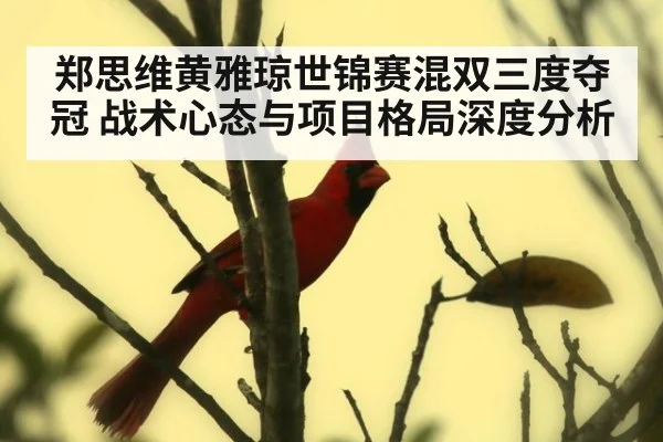 郑思维黄雅琼世锦赛混双三度夺冠 战术心态与项目格局深度分析
